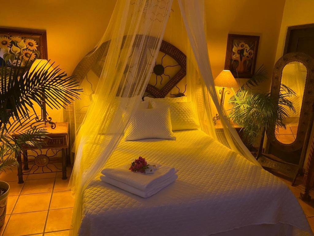 The Mexican Inn Кабо-Сан-Лукас Экстерьер фото